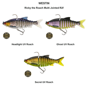 Du tilføjede <b><u>Ricky the Roach Multi Jointed R2f</u></b> til kurven.