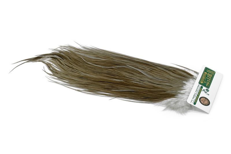 Whiting Hebert Rooster Saddle – Bronze â€“ dealerweb-cms-0af18380-8bc5-4eeb-8cef-088b7a36db53.jpg