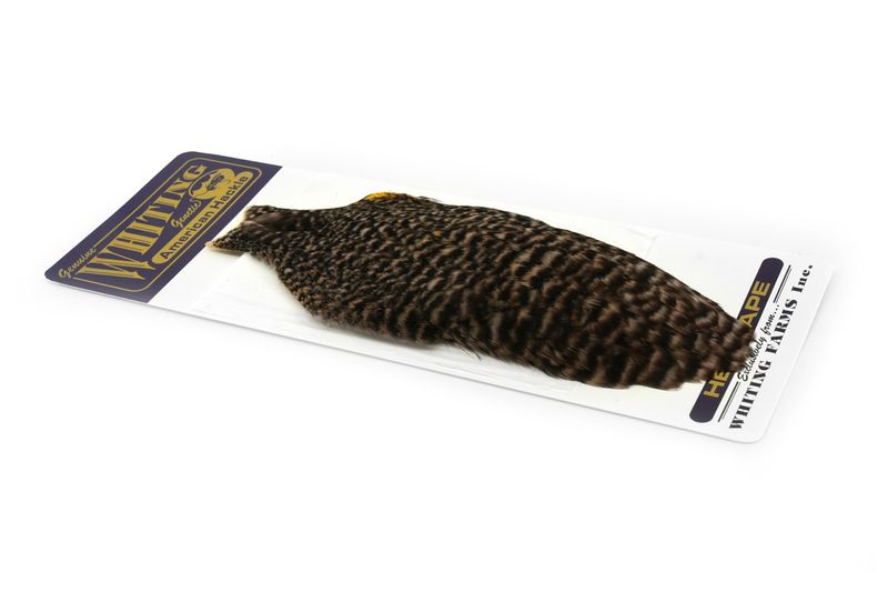 Whiting American Hen Cape â€“ dealerweb-cms-0c06a66b-0c8c-418c-bb9e-0b8d41190f9a.jpg