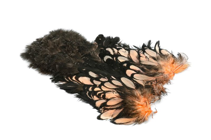 Whiting American Hen SH/C â€“ dealerweb-cms-0e2701d7-71c6-40b5-9491-15c84a476b6b.jpg