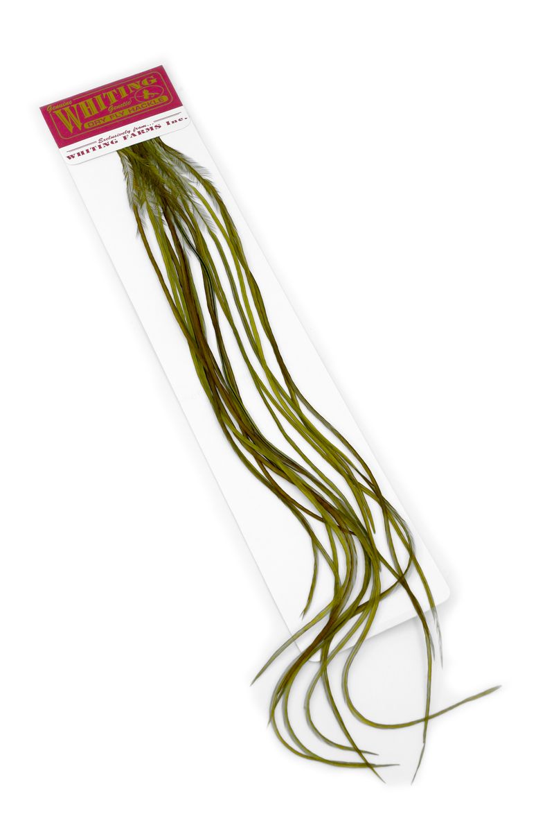 Whiting 100-pk – Size 12 â€“ dealerweb-cms-0f4826c9-21fe-411a-a2a9-4dac7c23319f.jpg