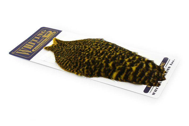 Whiting American Hen Cape â€“ dealerweb-cms-0fb00382-c867-4561-ab62-80ec6ec236f7.jpg