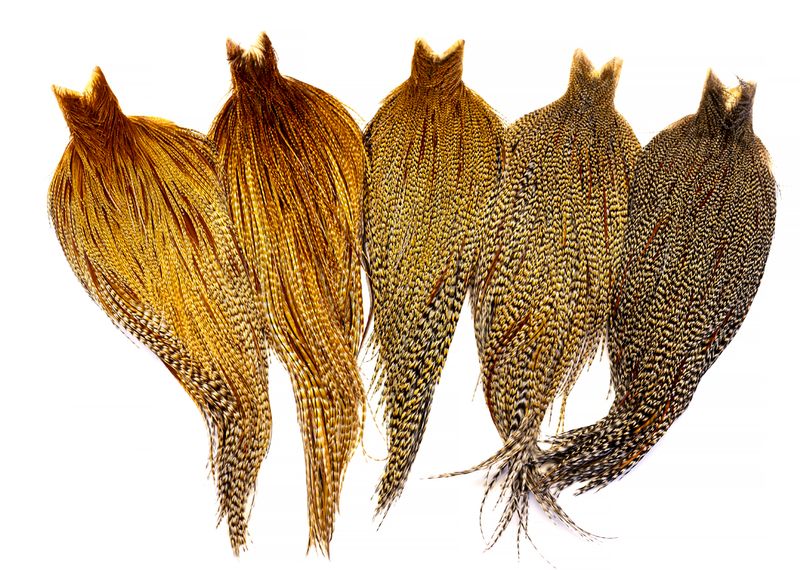 Whiting Heritage Rooster Cape â€“ dealerweb-cms-1352df09-ef88-4d64-a472-34086336a788.jpg
