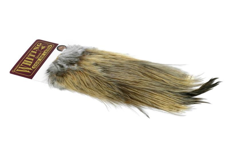 Whiting Coq de Leon Rooster Saddle – Bronze â€“ dealerweb-cms-17103398-513d-4a8b-b86a-b455f27e17a1.jpg