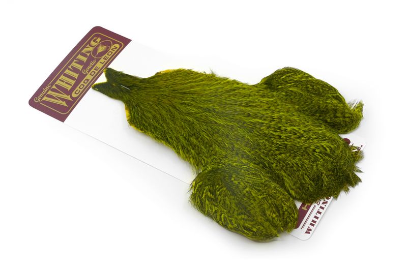Whiting Coq de Leon Hen Cape â€“ dealerweb-cms-1dac6da2-1d9d-4a6b-bdb7-3f589d64a859.jpg
