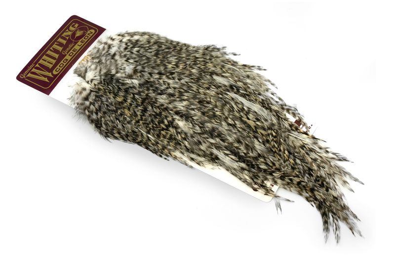 Whiting Coq de Leon Rooster Saddle – Silver â€“ dealerweb-cms-1dbbbc97-6332-4890-b9a0-954439688ae1.jpg