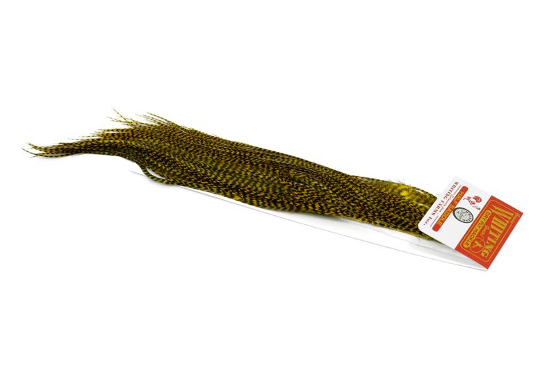 Whiting Rooster Midge 1/2 Saddle – Bronze â€“ dealerweb-cms-283d8508-2a3a-4d42-a4b0-27cfbb347667.jpg
