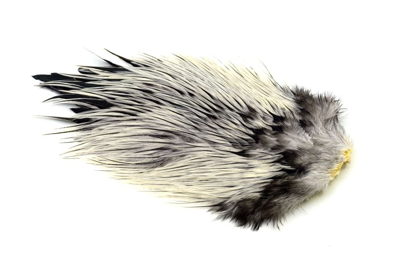 Whiting Brahma Rooster Saddle â€“ dealerweb-cms-2d88b847-06de-4cfd-a14f-9e7524b4a6b8.jpg