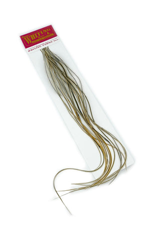 Whiting 100er-Packung – Goldener Dachs