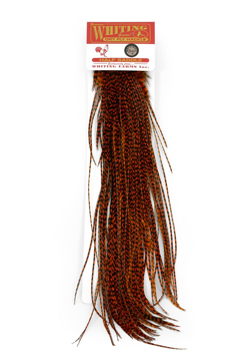 Whiting Rooster 1/2 Saddle – Bronze â€“ dealerweb-cms-325a0d5f-3de0-4cb5-837c-75acc98c5c0f.jpg