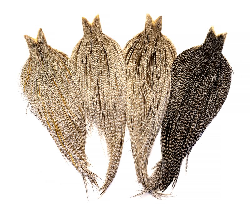 Whiting Heritage Rooster Cape â€“ dealerweb-cms-330d865d-9a7d-44a8-b0d9-89128c91bdbf.jpg