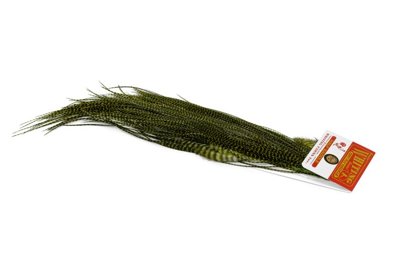 Whiting Silver Midge 1/2 Saddle â€“ dealerweb-cms-3cd1314b-0092-4586-b221-705a4dd159be.jpg