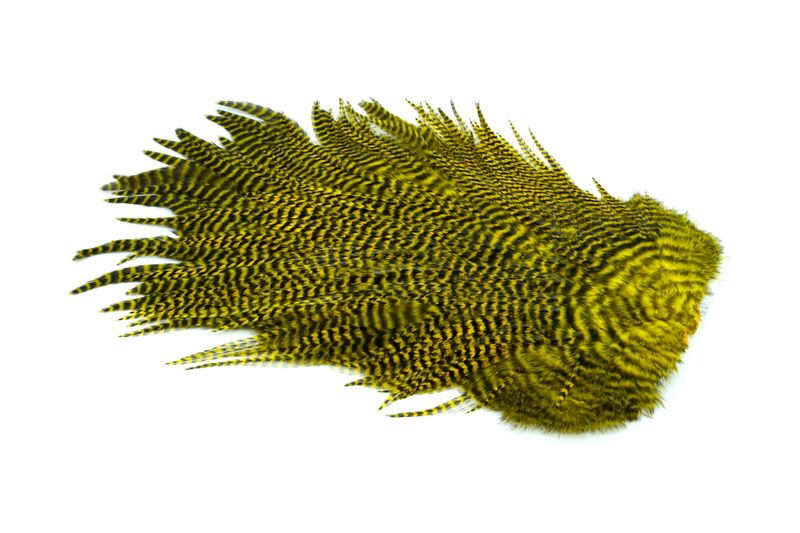 Whiting 4 B's Rooster Saddle â€“ dealerweb-cms-3e44b50d-2af0-471d-95a5-acd3accbc572.jpg