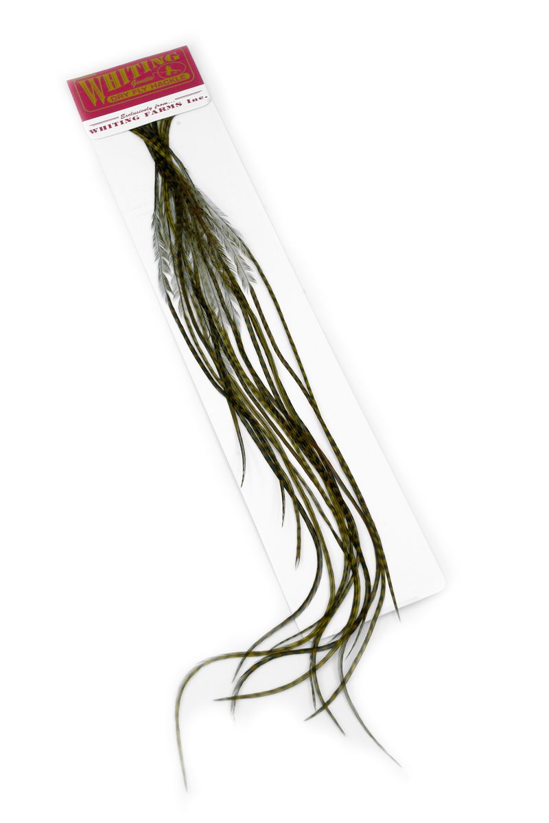Whiting 100-pk – Size 16 â€“ dealerweb-cms-4962f234-233d-4d0c-ad9d-bc8c42c5e5d7.jpg