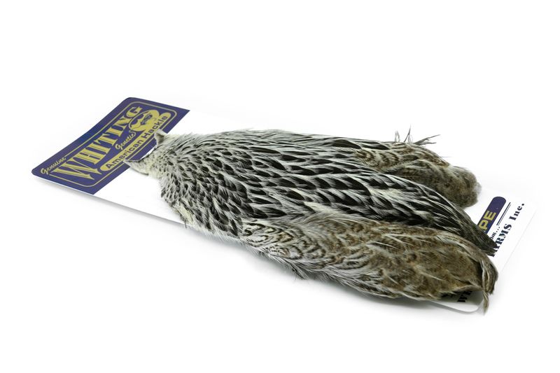 Whiting American Hen Cape â€“ dealerweb-cms-4967cd88-041a-4a35-9c28-1ff046384972.jpg