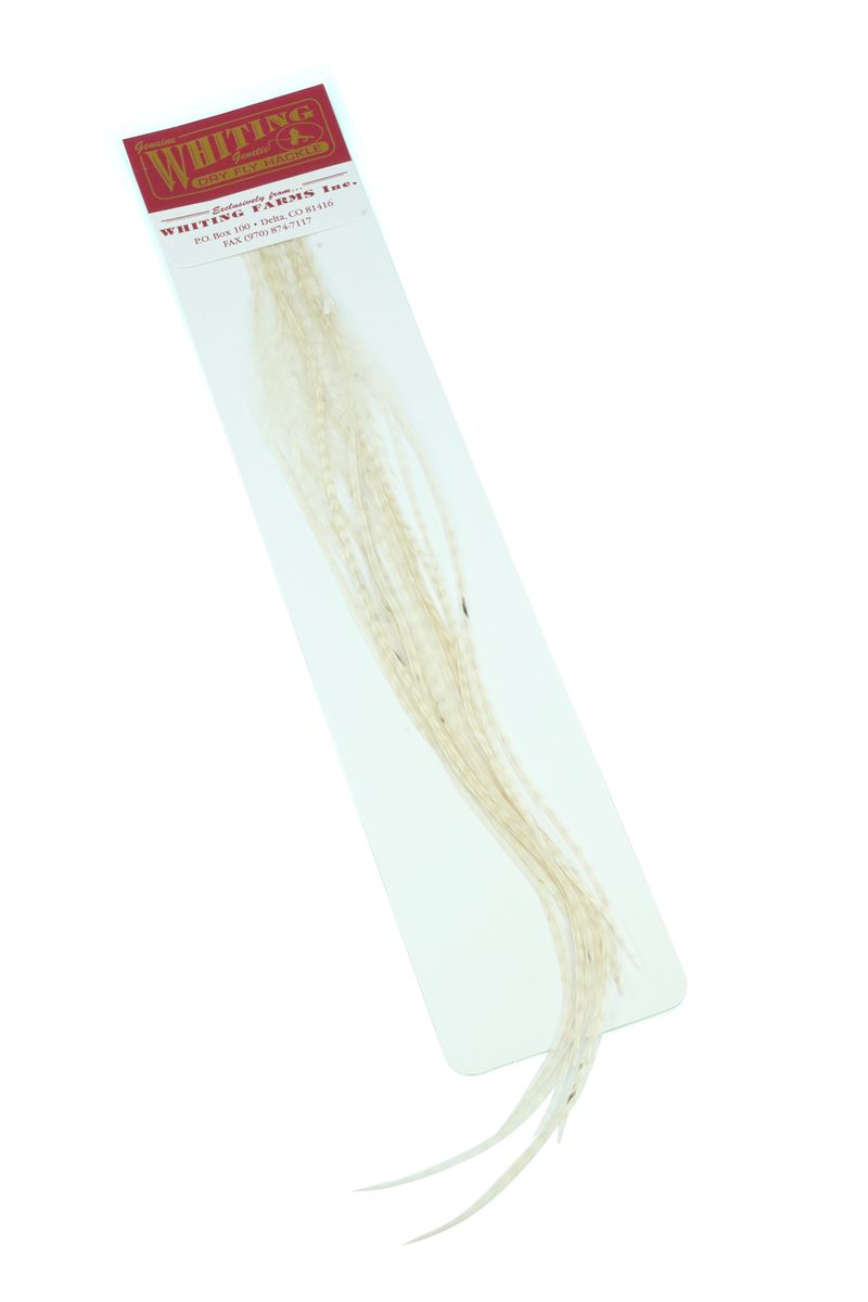 Whiting 100-pk – Size 16 â€“ dealerweb-cms-4be4903d-a13b-4510-b5e4-070cac0fb318.jpg