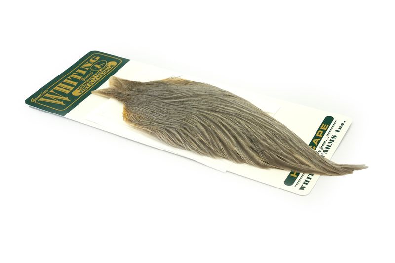 Whiting Hebert Hen Cape â€“ dealerweb-cms-4c396961-cc5e-40f3-bc56-b5d302306342.jpg