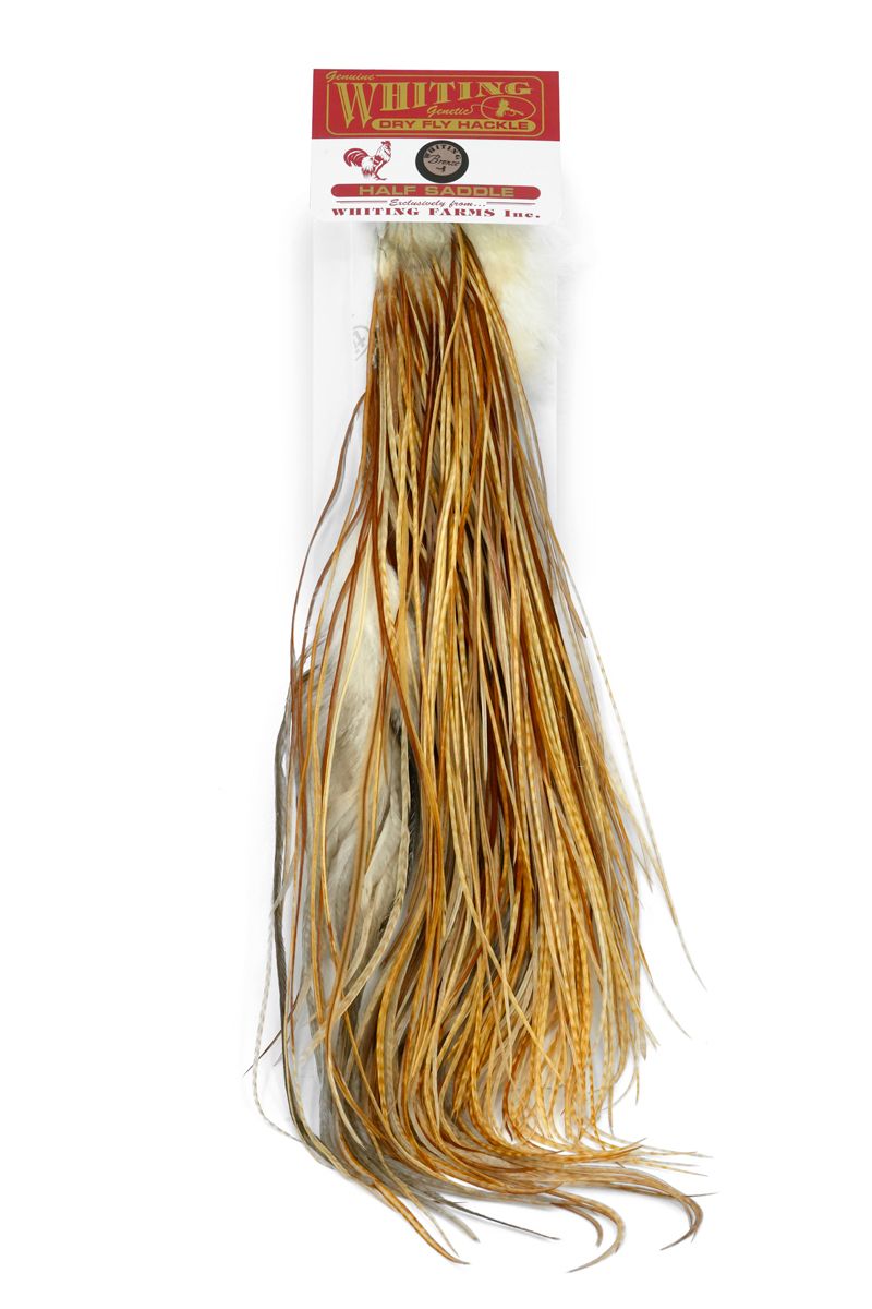 Whiting Rooster 1/2 Saddle – Bronze â€“ dealerweb-cms-4fc0f7a8-cc5e-4e2a-964e-70e46cf19e6e.jpg