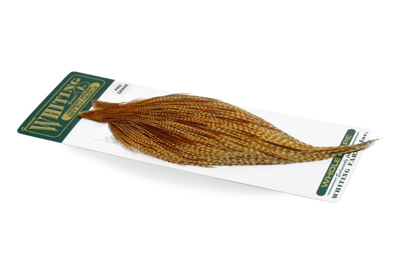 Whiting Hebert Rooster Cape – Pro Grade â€“ dealerweb-cms-621e5cc9-2148-429e-8f4d-e973fb7210cd.jpg