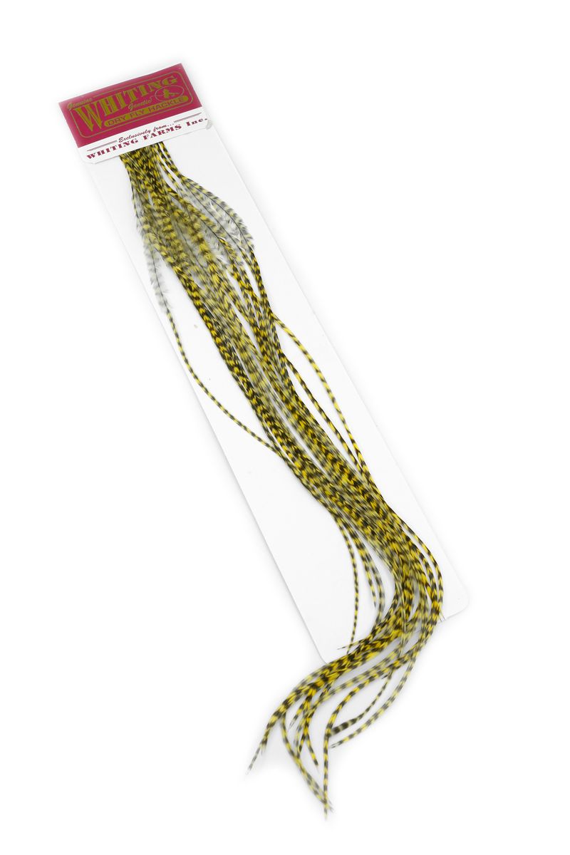 Whiting 100-pk – Size 18 â€“ dealerweb-cms-64db4737-5040-4d42-afe5-be62b4bf38ae.jpg