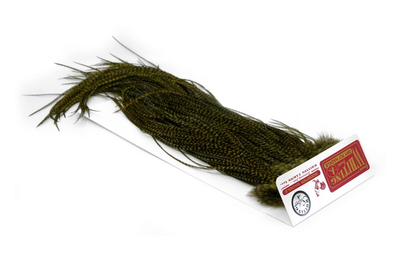 Whiting Rooster Saddle – Silver â€“ dealerweb-cms-659097f3-544b-448d-ba8c-0edd2196638f.jpg
