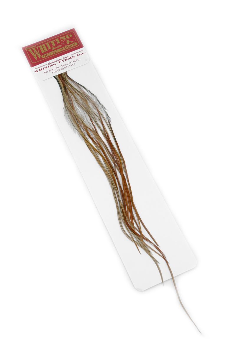 Whiting 100-pk – Size 18 â€“ dealerweb-cms-65d0b2f2-9f04-47e5-8a92-a19070b1351b.jpg