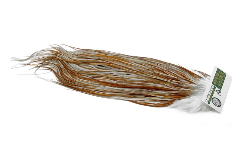 Whiting Hebert Rooster Saddle – Silver â€“ dealerweb-cms-70785409-83e5-46a8-8ff5-09c071f1e8da.jpg