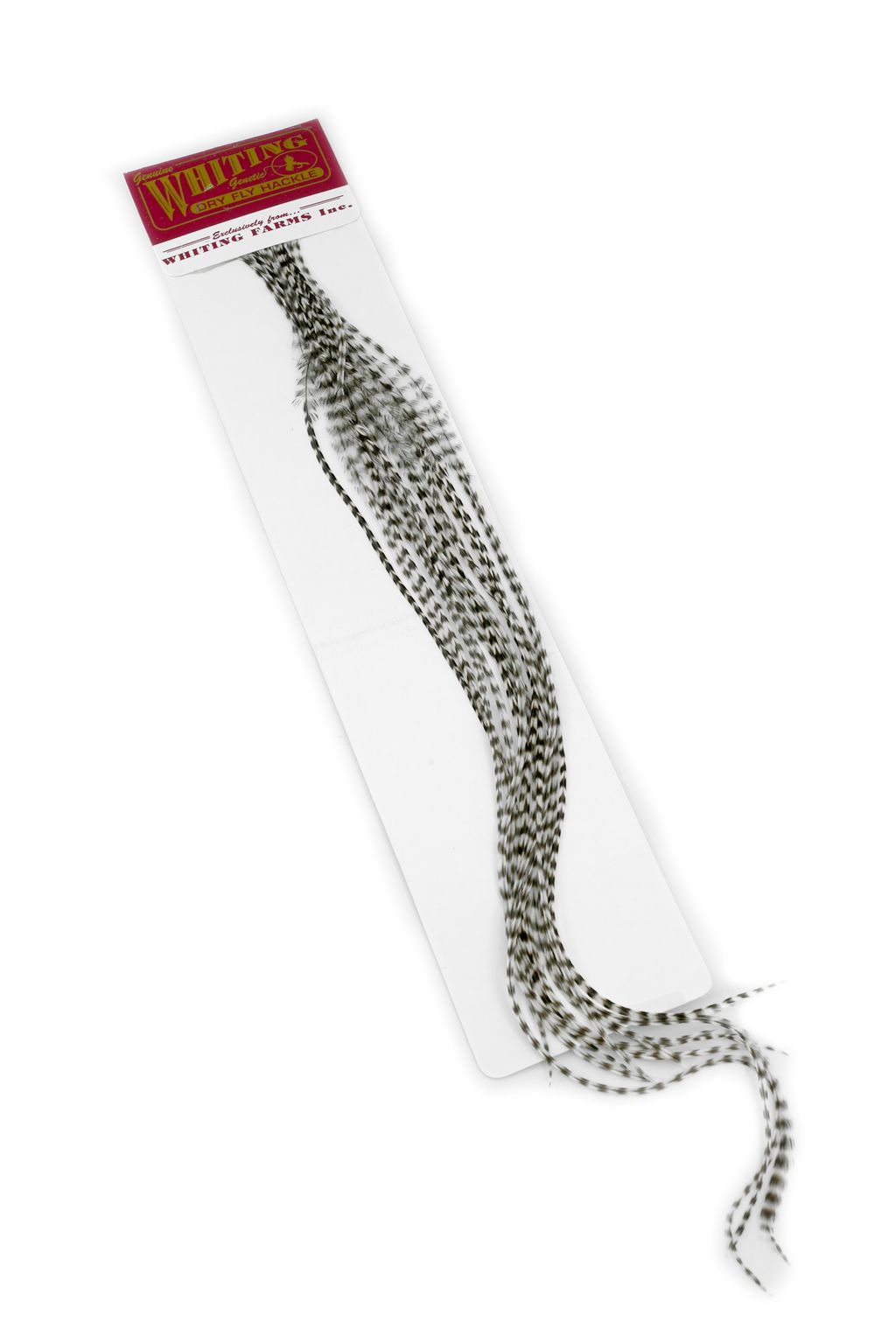 Whiting 100er-Packung - Grizzly