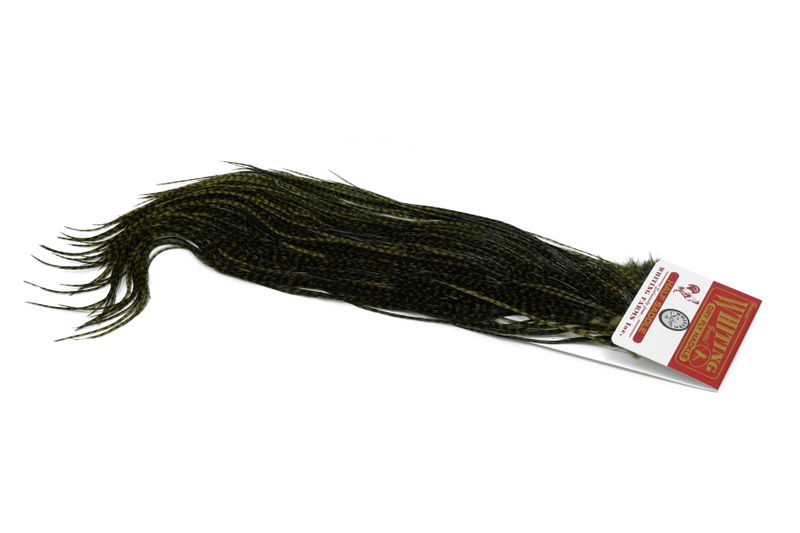 Whiting Silver 1/2 Saddle â€“ dealerweb-cms-7d4968e2-dfec-4502-bbbc-2f32b3e970de.jpg