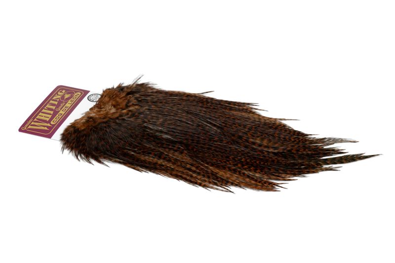 Whiting Coq de Leon Rooster Saddle – Silver â€“ dealerweb-cms-7f43a23e-9d44-4056-bafe-74946ecab7b4.jpg