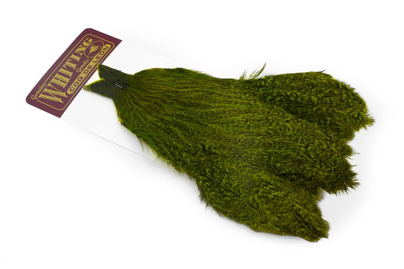Whiting Coq de Leon Hen Cape â€“ dealerweb-cms-8a02aacd-784f-40b5-95ac-2dde30c5c9ae.jpg