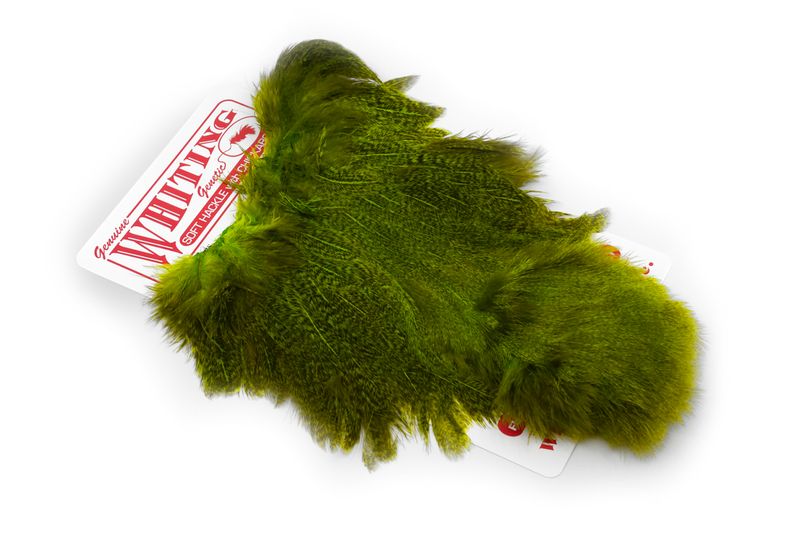 Whiting Coq De Leon Hen SH/C â€“ dealerweb-cms-8a036d40-89d3-444c-8170-87b0345c59e8.jpg