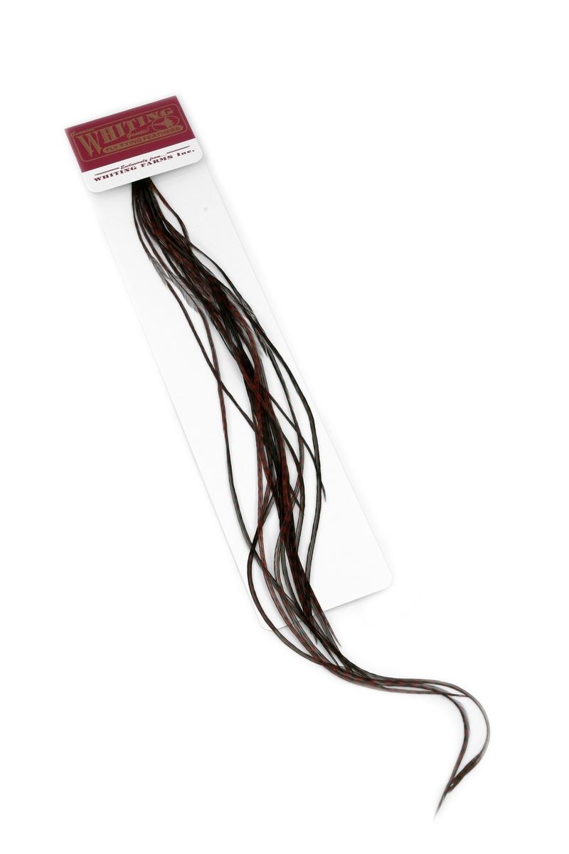 Whiting 100-pk – Size 16 â€“ dealerweb-cms-8ee0df0b-a1c0-4902-9d3e-feae69bfe002.jpg