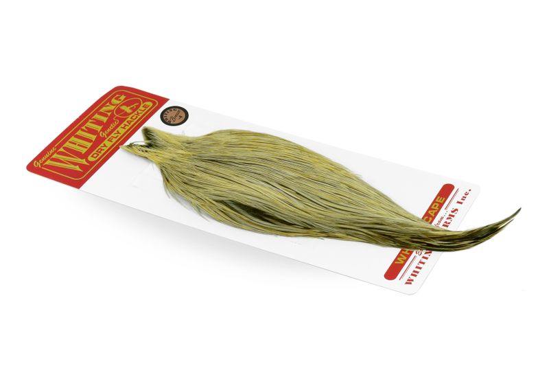 Whiting Rooster Cape – Bronze â€“ dealerweb-cms-8fef2a3d-cb2d-48c7-b94f-93d6efd28d4e.jpg