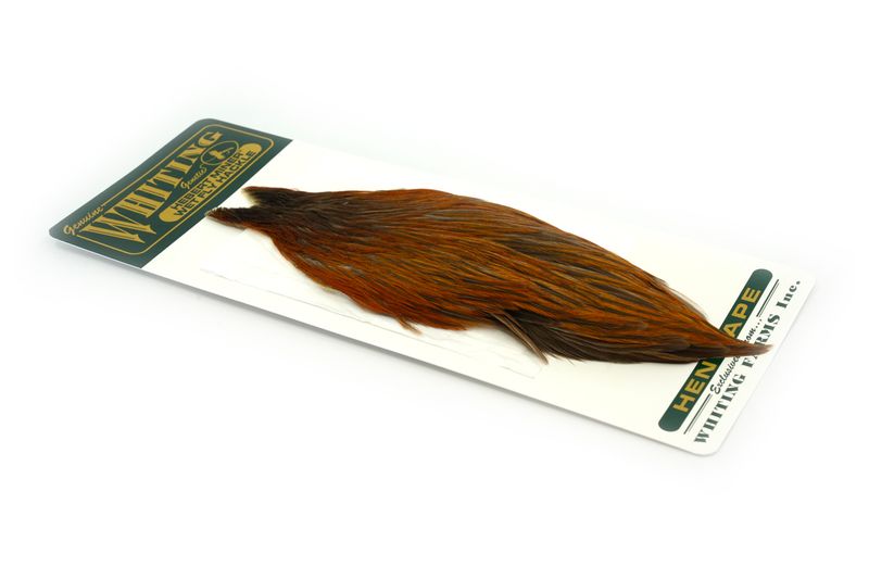 Whiting Hebert Hen Cape â€“ dealerweb-cms-93ddd322-444d-4749-854b-7e6b62b78a7b.jpg