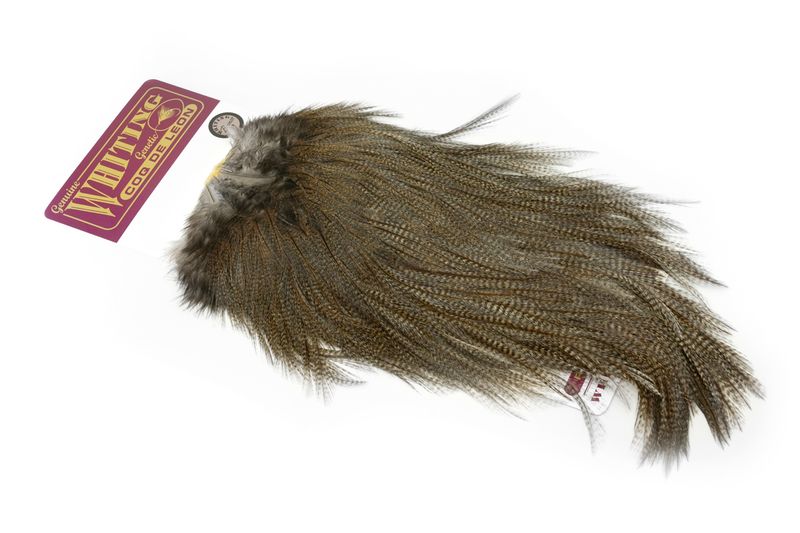Whiting Coq de Leon Rooster Saddle – Silver â€“ dealerweb-cms-96a50c72-3034-4386-bdb1-9854a5eb5e0f.jpg