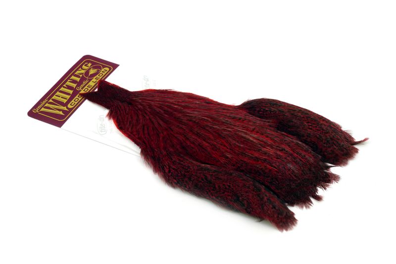 Whiting Coq de Leon Hen Cape â€“ dealerweb-cms-97764822-1cfa-4f46-bbe2-af543fc5178c.jpg