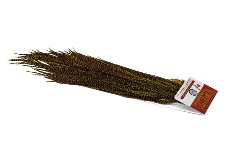 Whiting Silver 1/2 Saddle â€“ dealerweb-cms-9b4aa577-3105-43aa-827a-6514b1577155.jpg