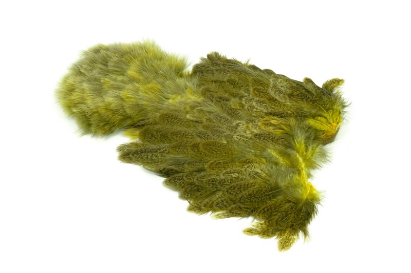 Whiting Brahma Hen SH/C â€“ dealerweb-cms-9f4c18dd-0c23-4eb3-b52a-a4db45e7edc5.jpg