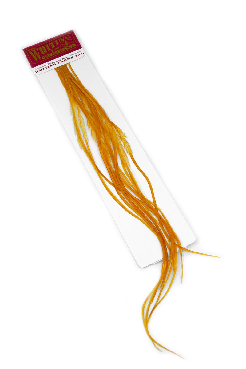 Whiting 100-pk – Size 18 â€“ dealerweb-cms-a66c21aa-1f8a-4d9d-9b6b-cde73f8e31f6.jpg