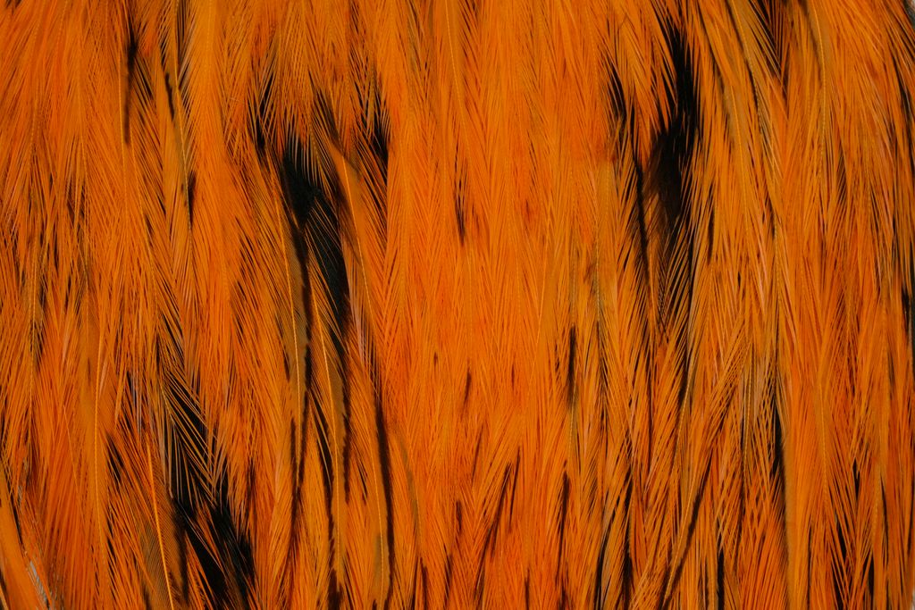 Whiting American Rooster Cape - Naturbraun