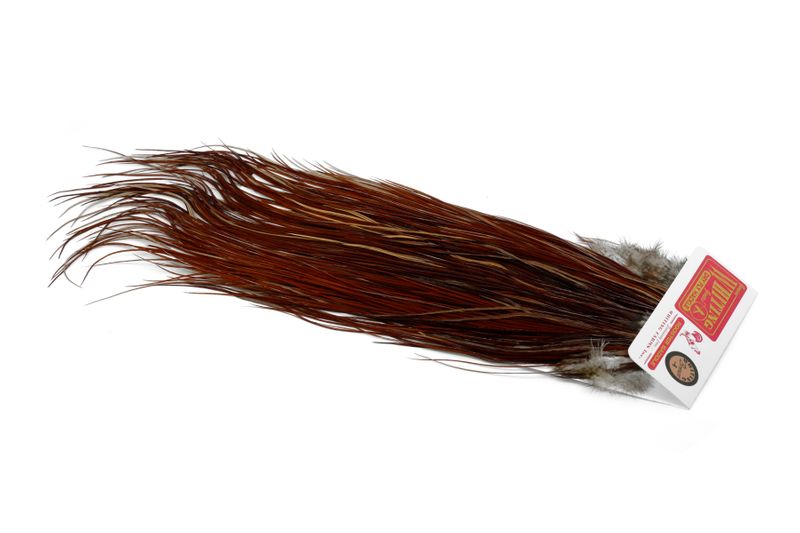 Whiting Rooster Saddle – Bronze â€“ dealerweb-cms-ab8380b6-32da-4b53-ac49-7d8b1b35d95a.jpg
