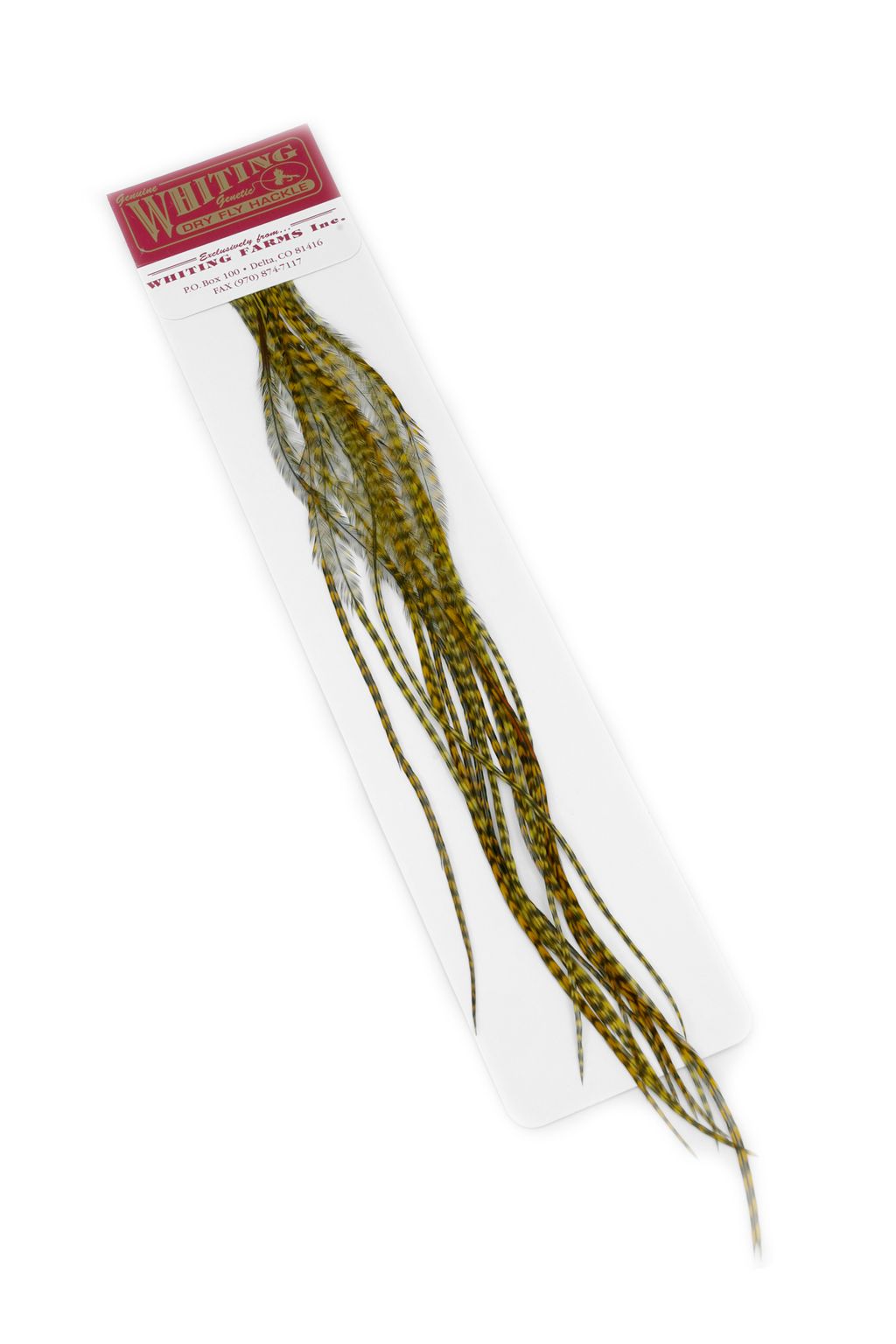Whiting 100er-Packung – Grizzly Olive, Größe 14