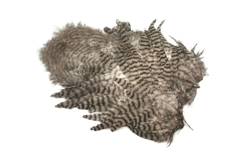 Whiting Rooster SH/C â€“ dealerweb-cms-b1248fcb-41f7-4dd8-a46c-b132eb2e66d6.jpg