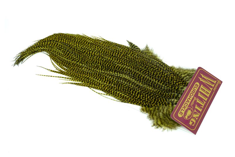 Whiting Eurohackle Saddle â€“ dealerweb-cms-b203f242-c833-439a-84d3-0636becc9424.jpg