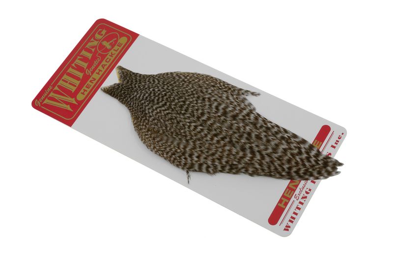 Whiting Hen Cape â€“ dealerweb-cms-b35bba3f-449a-4ce8-9a73-e6fa2be1c5e0.jpg