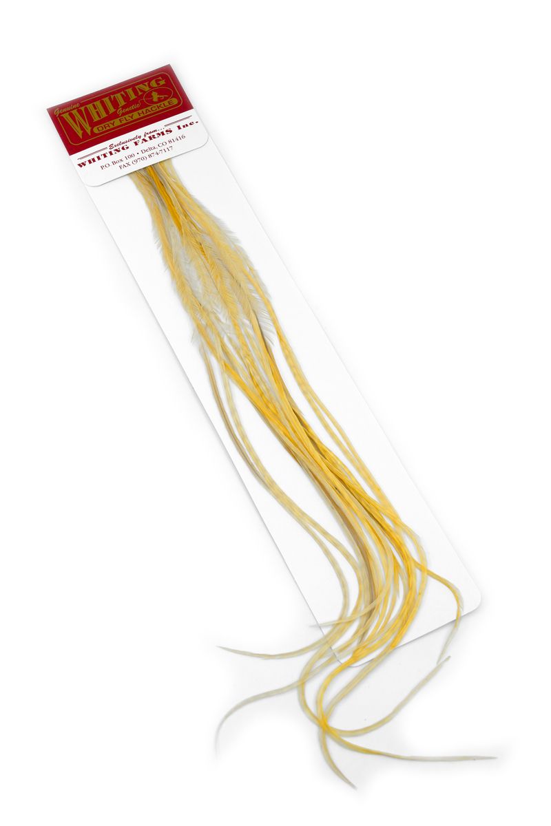 Whiting 100-pk – Size 16 â€“ dealerweb-cms-b61c3882-d083-4956-a493-642c8820f0f3.jpg
