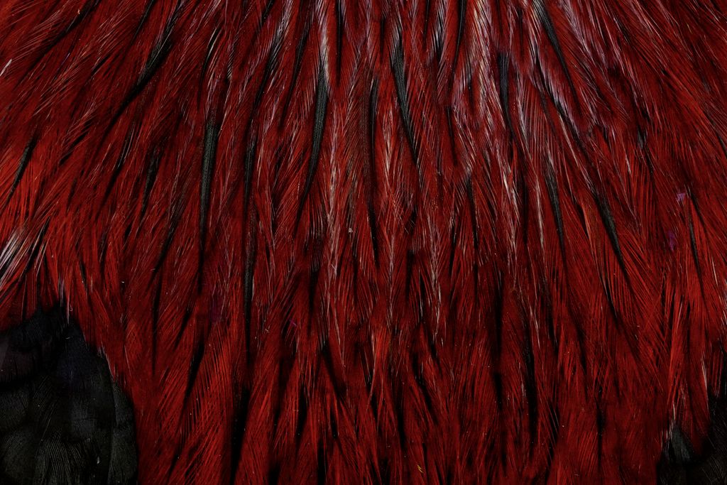 Whiting American Rooster Cape - Naturbraun