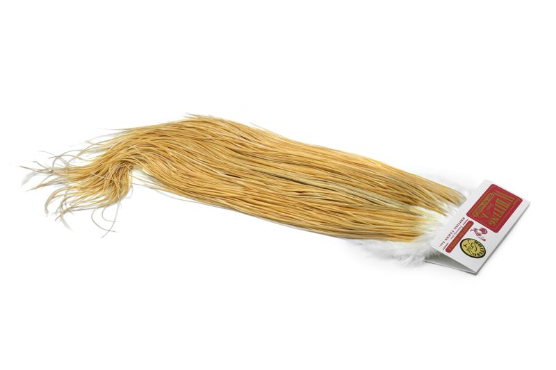 Whiting Gold Midge Saddle â€“ dealerweb-cms-b9a2f0d9-d253-46a5-b266-f685f0f339f7.jpg