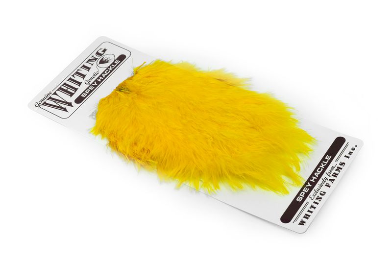 Whiting Spey Hackle Hen Saddle â€“ dealerweb-cms-bc270ce6-6b9b-49b6-b998-5304bfb550d0.jpg